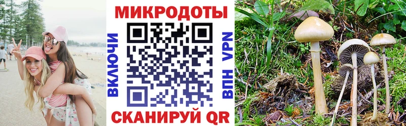 Галлюциногенные грибы MAGIC MUSHROOMS  цена   Цивильск 